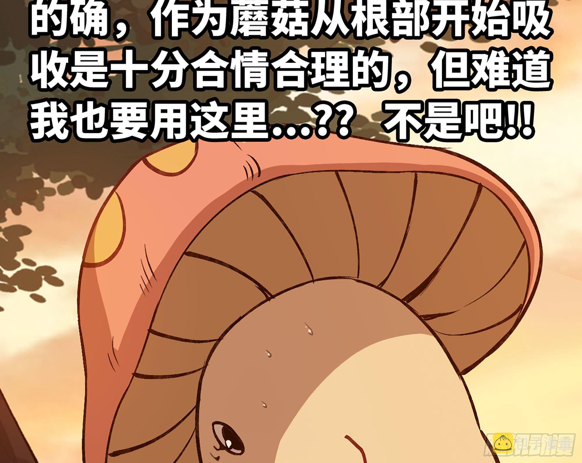 14- 分解吸收79