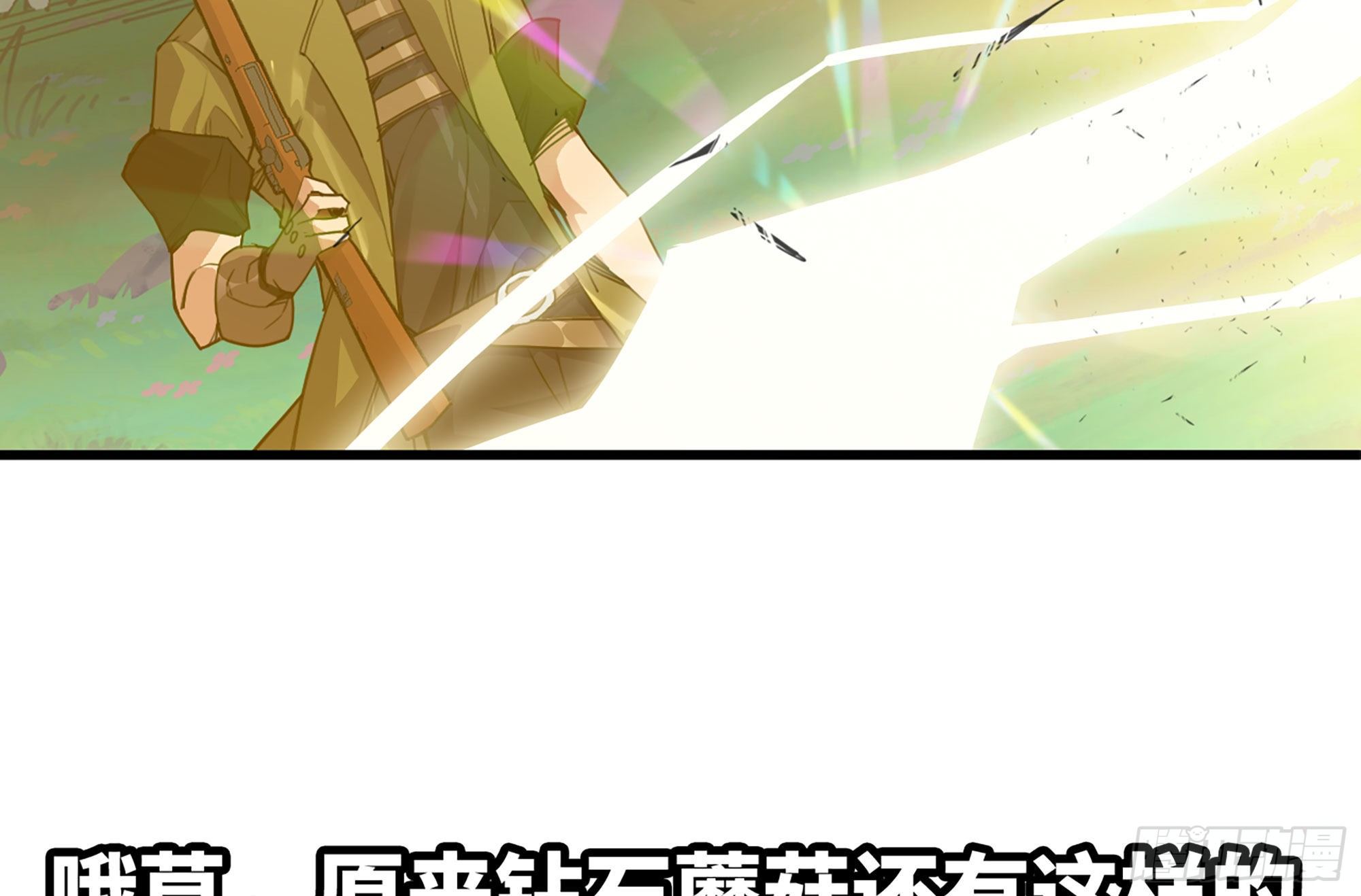30- 钻石蘑菇149