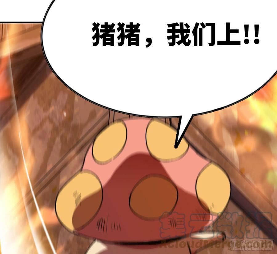 93 菇猪出击52