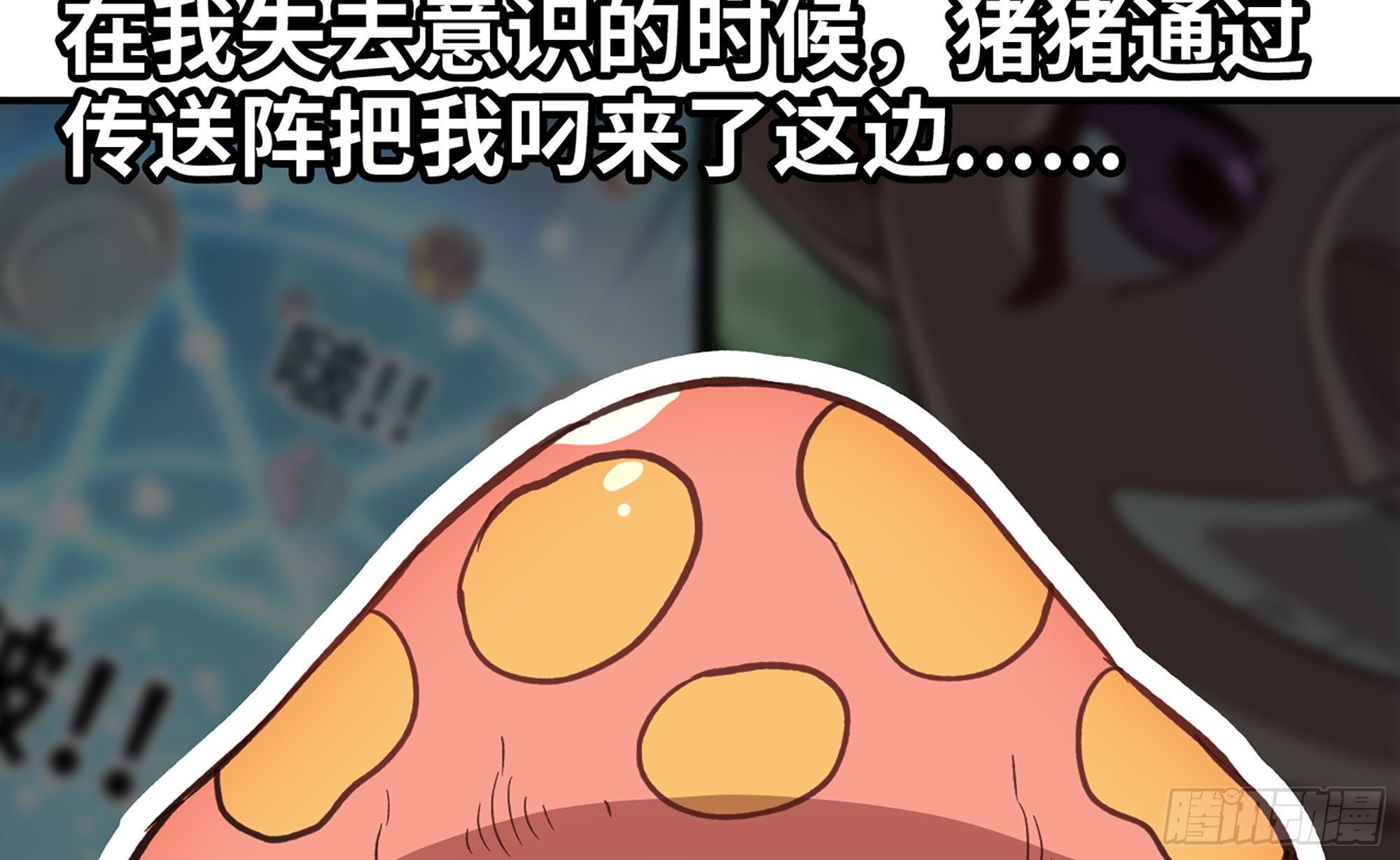 12- 野外15