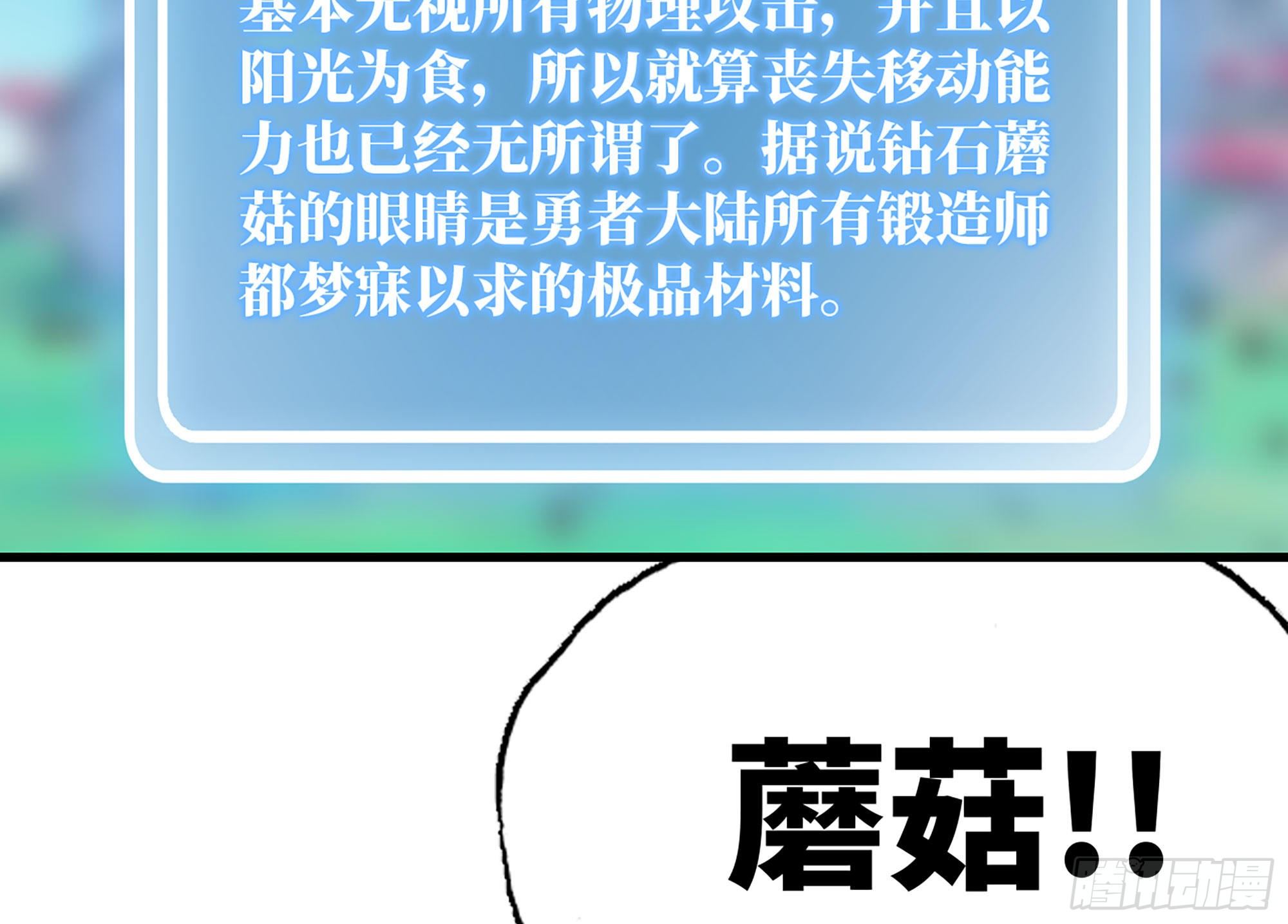 30- 钻石蘑菇59