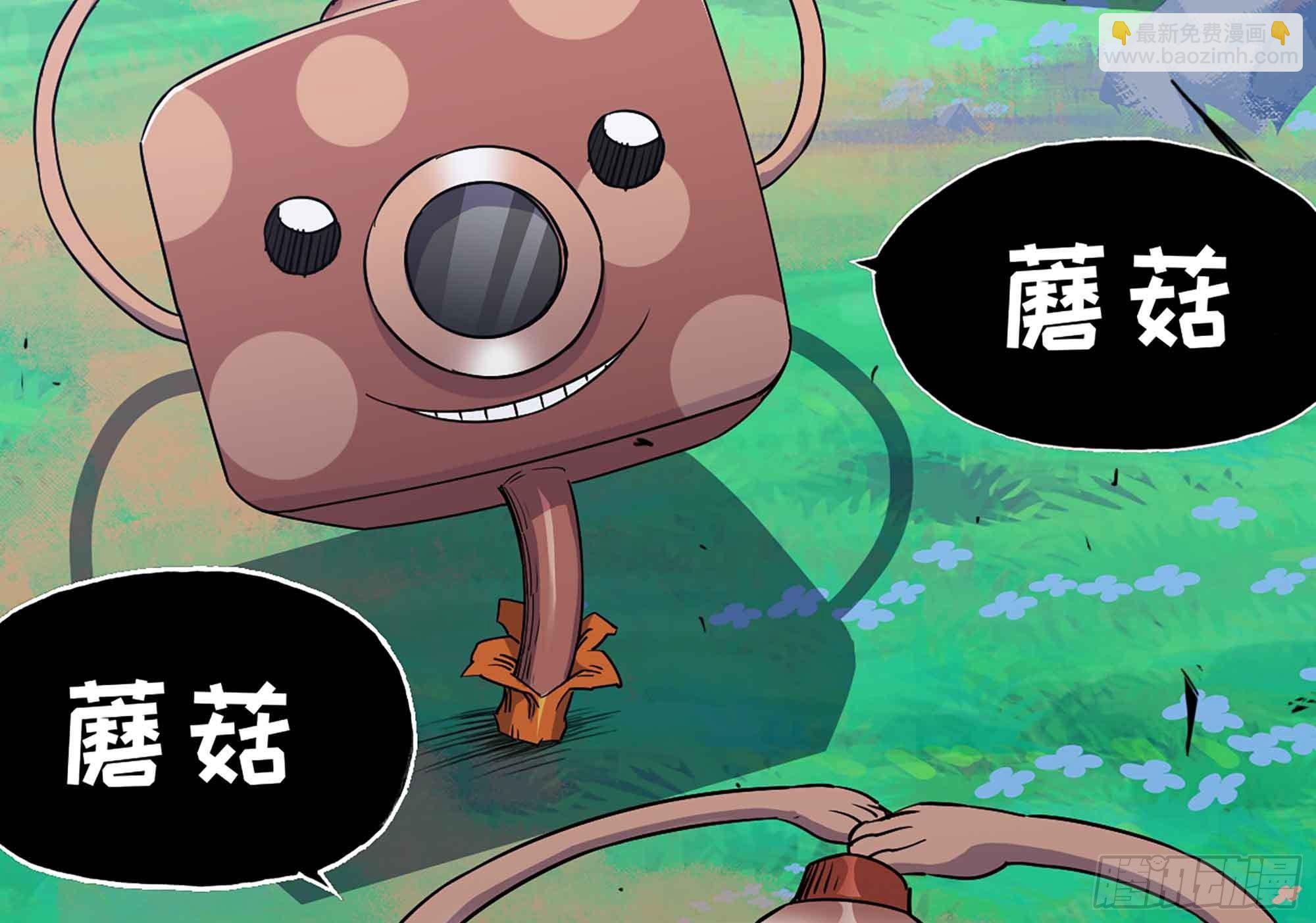 35- 第三方4