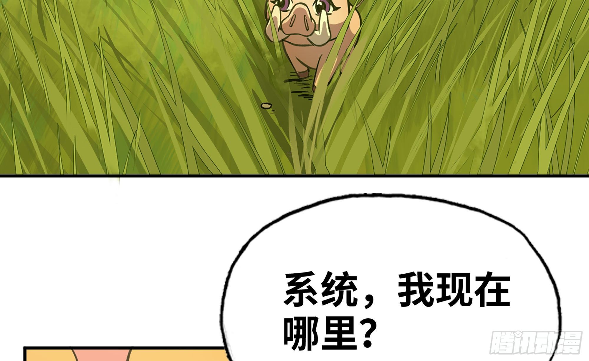 12- 野外6