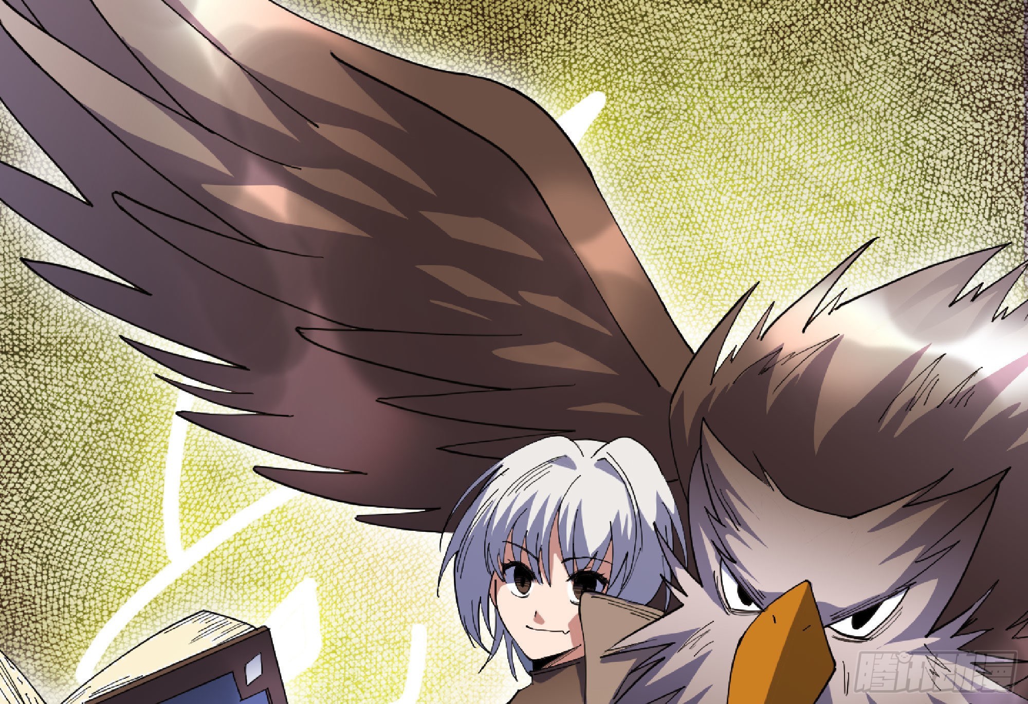 64 公会114