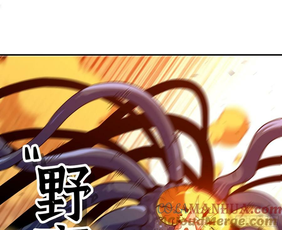 95 物理攻击72