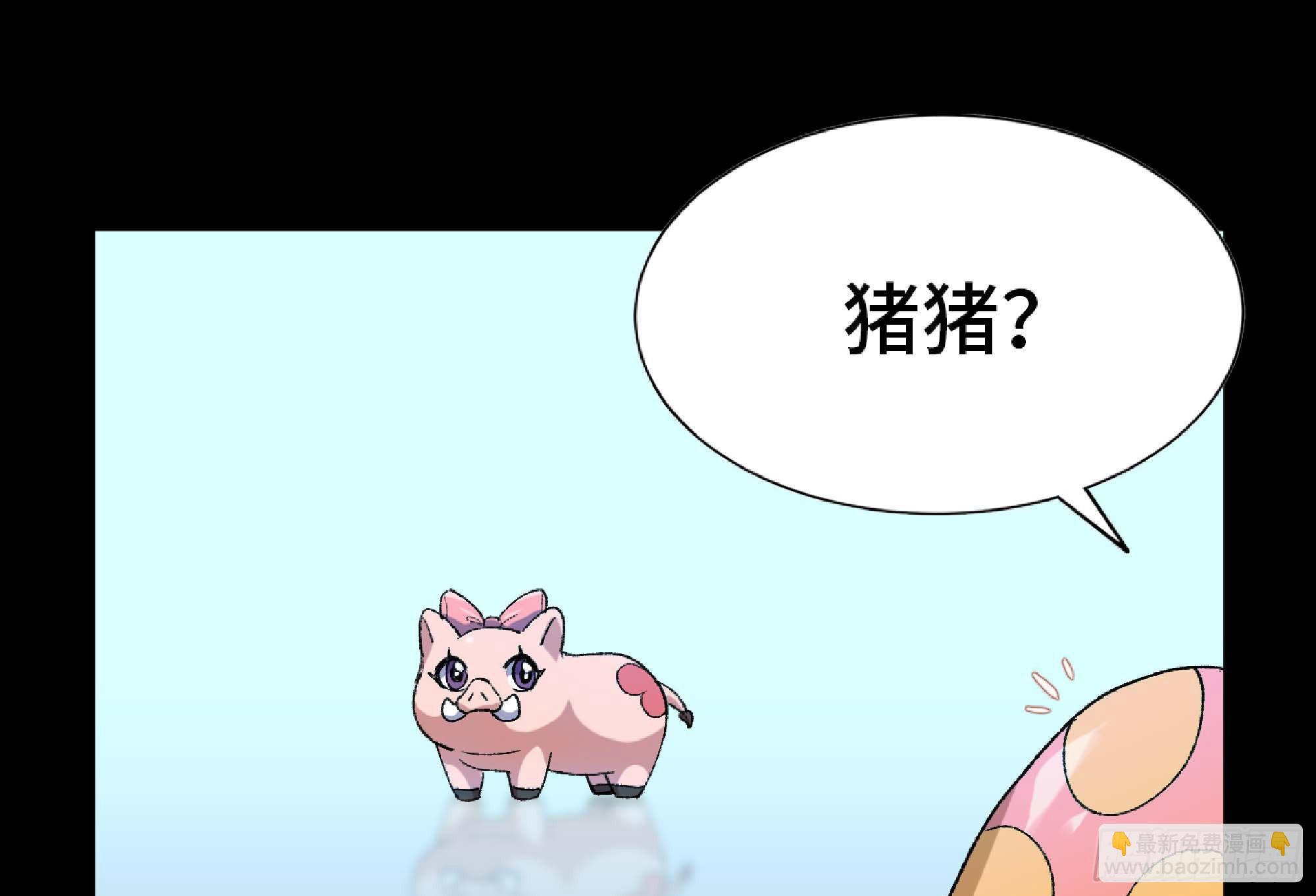 55 悬赏任务50