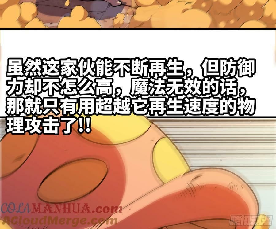95 物理攻击60
