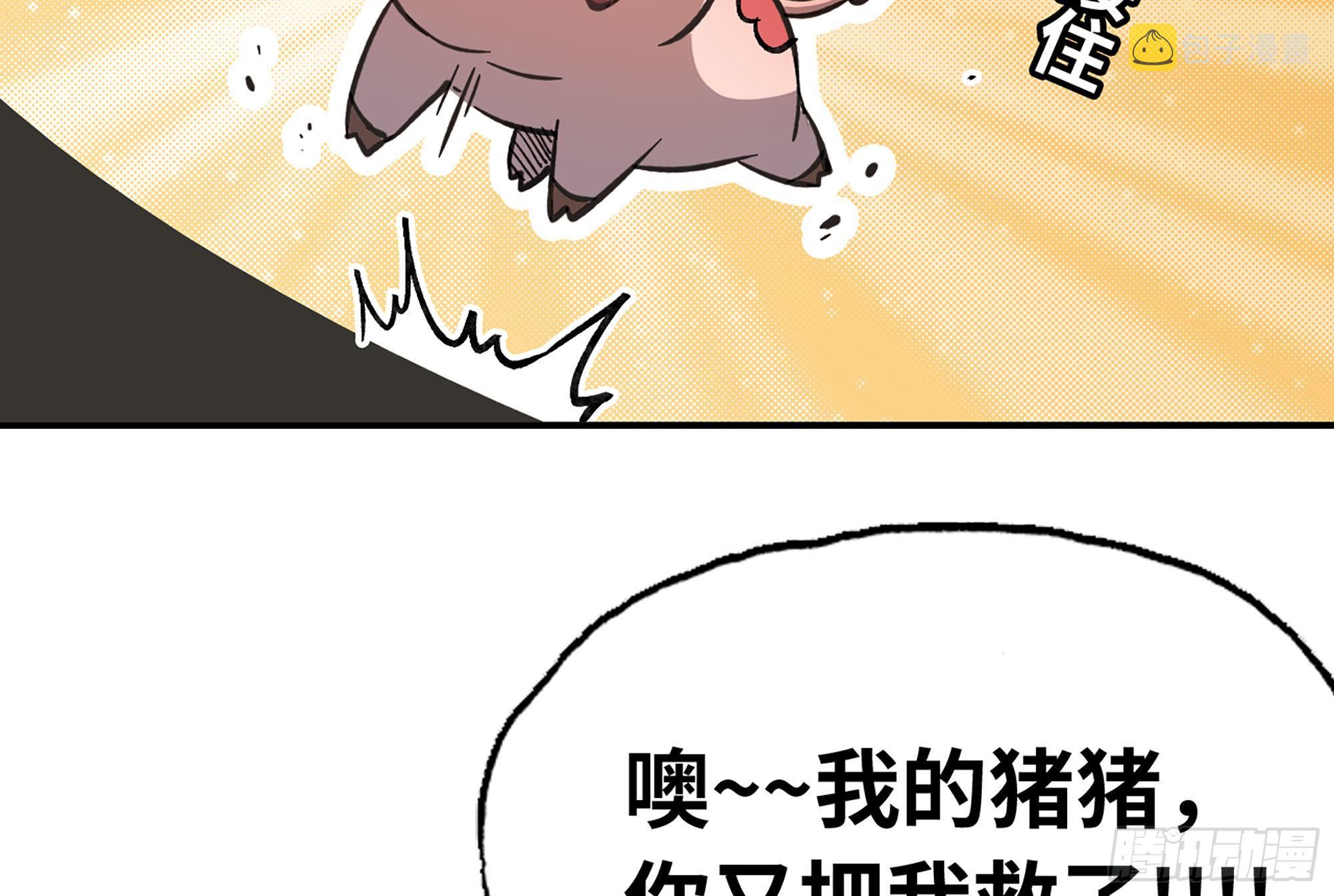12- 野外84