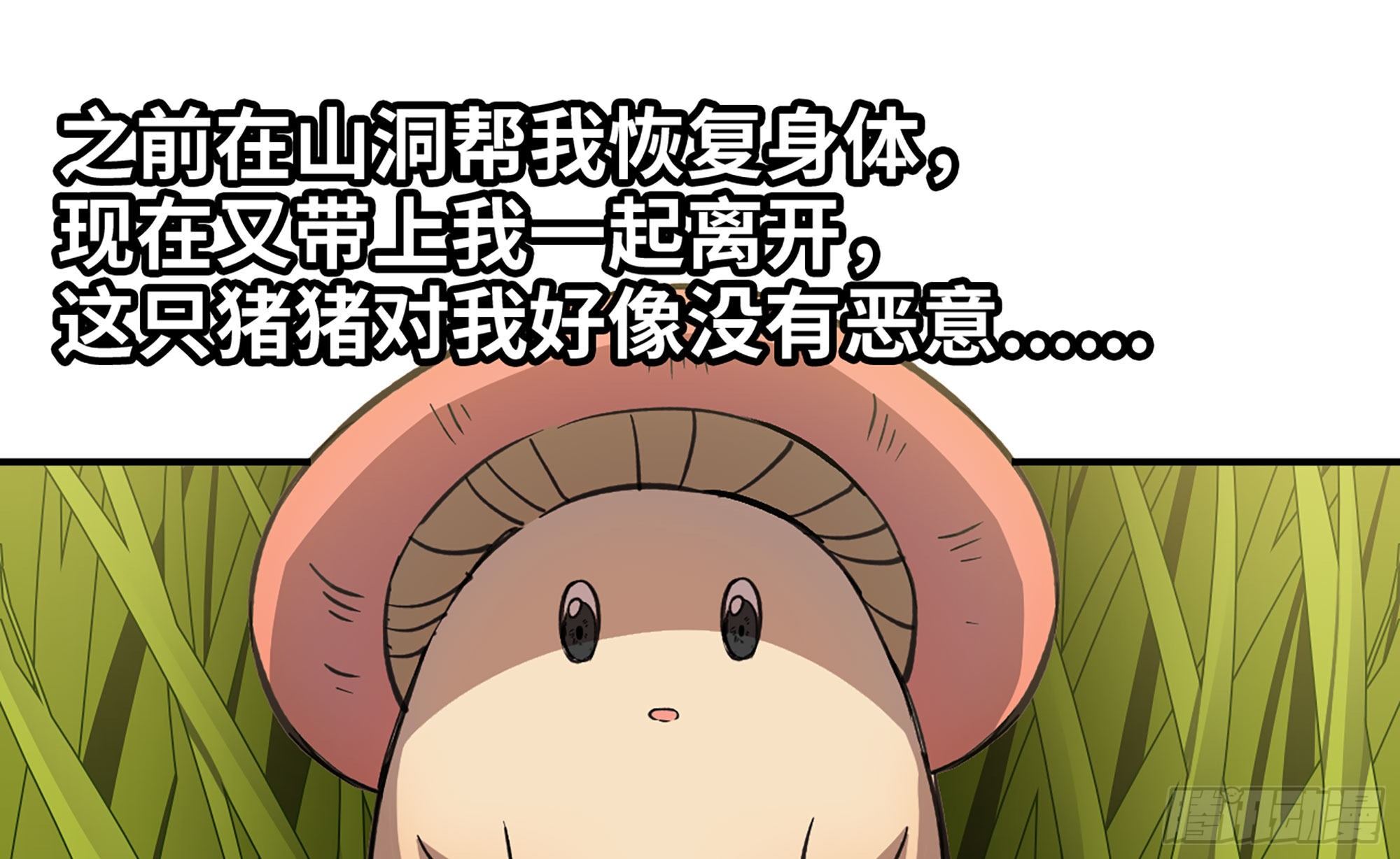 12- 野外1