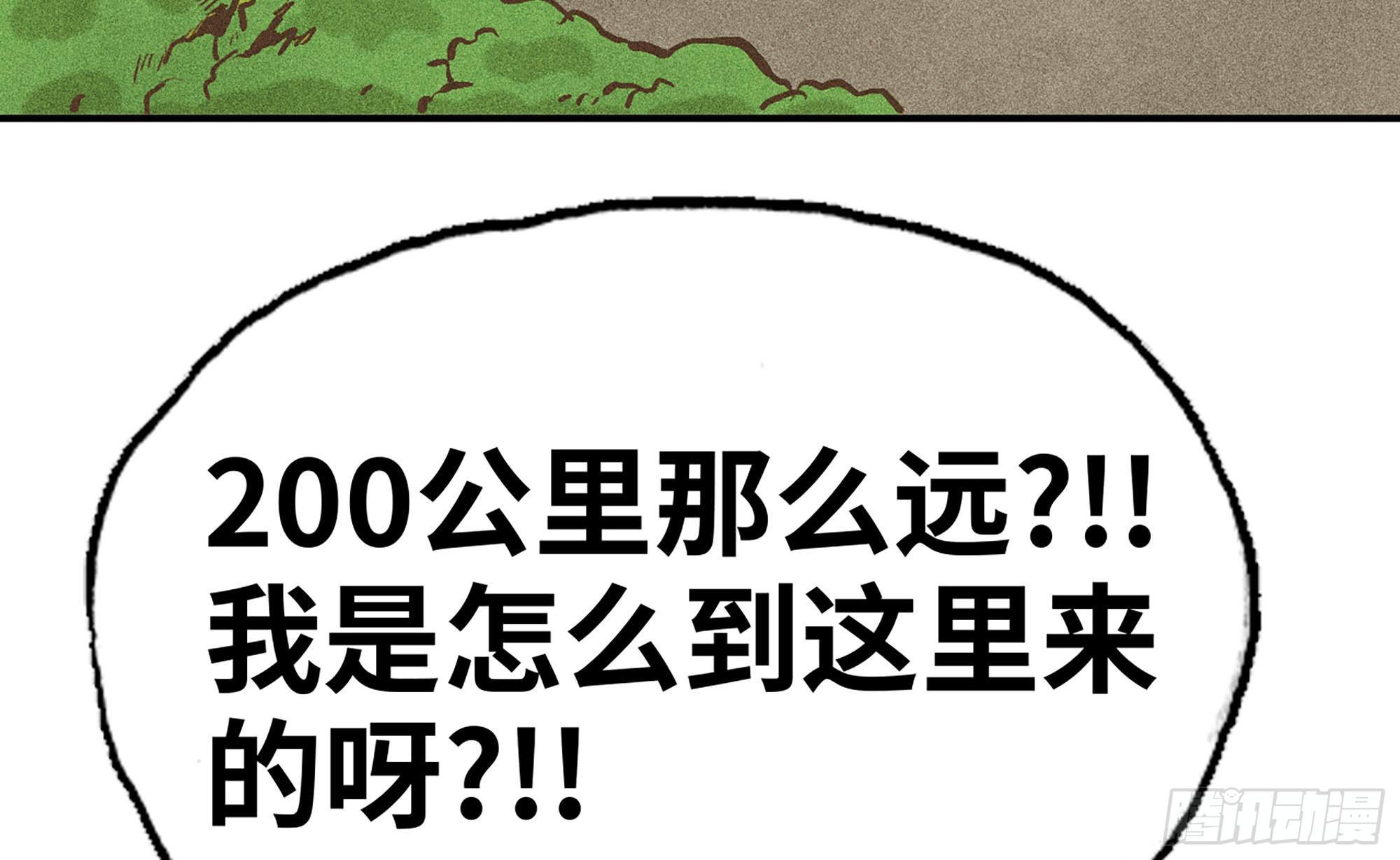 12- 野外12