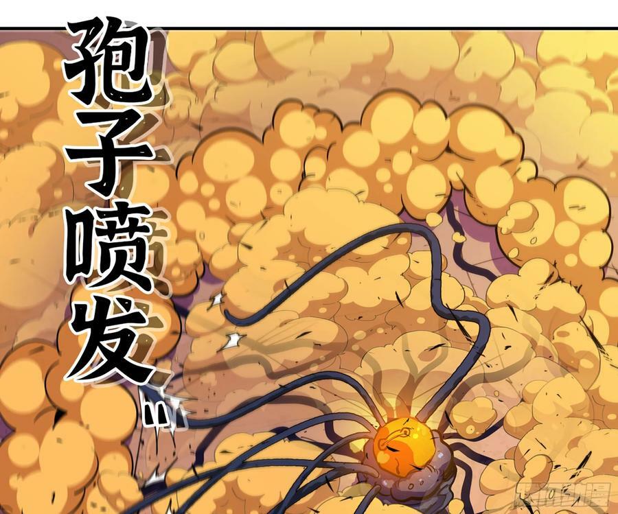 95 物理攻击57