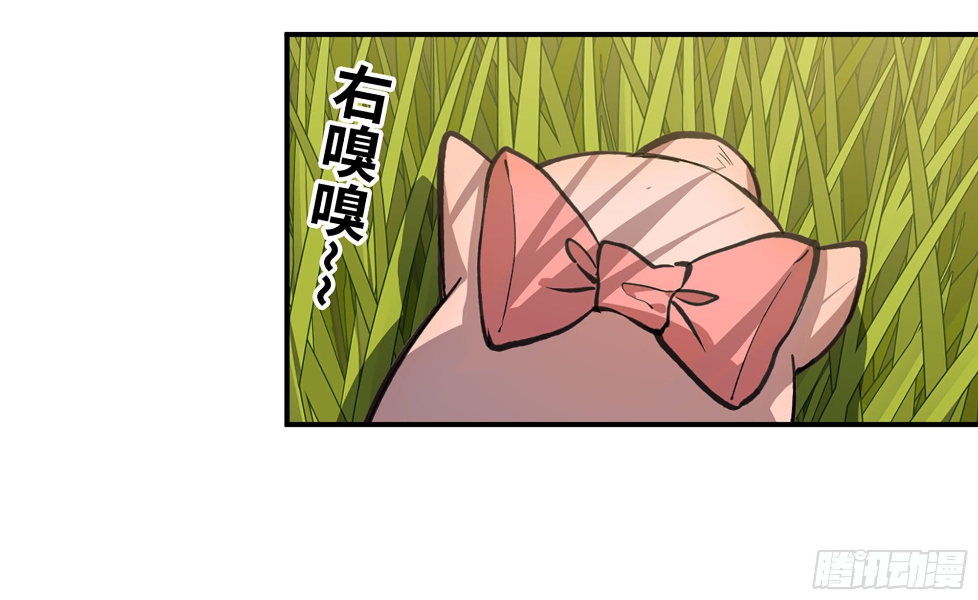 12- 野外3