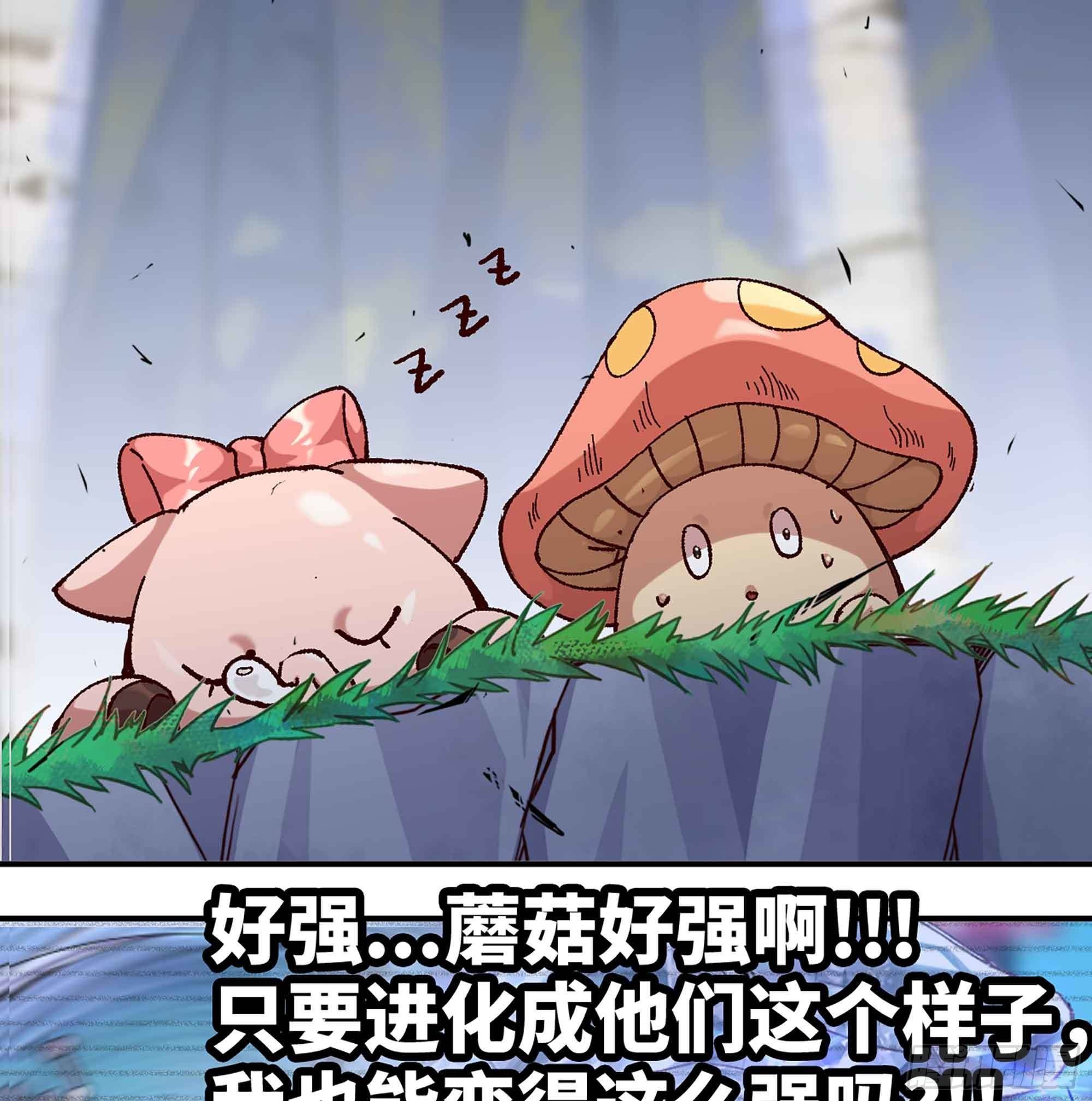 35- 第三方135
