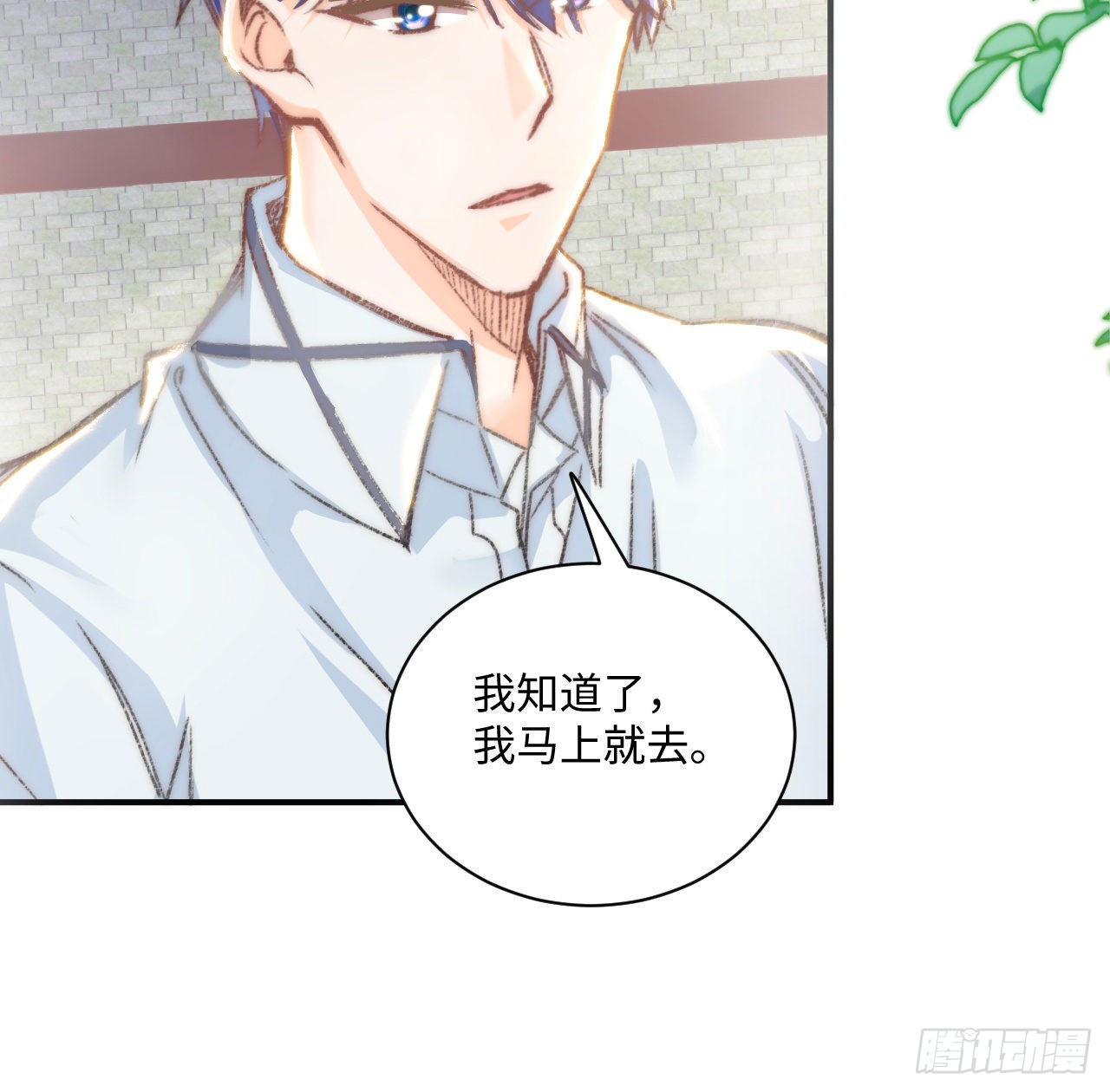 17话 骨科或伪骨科？8