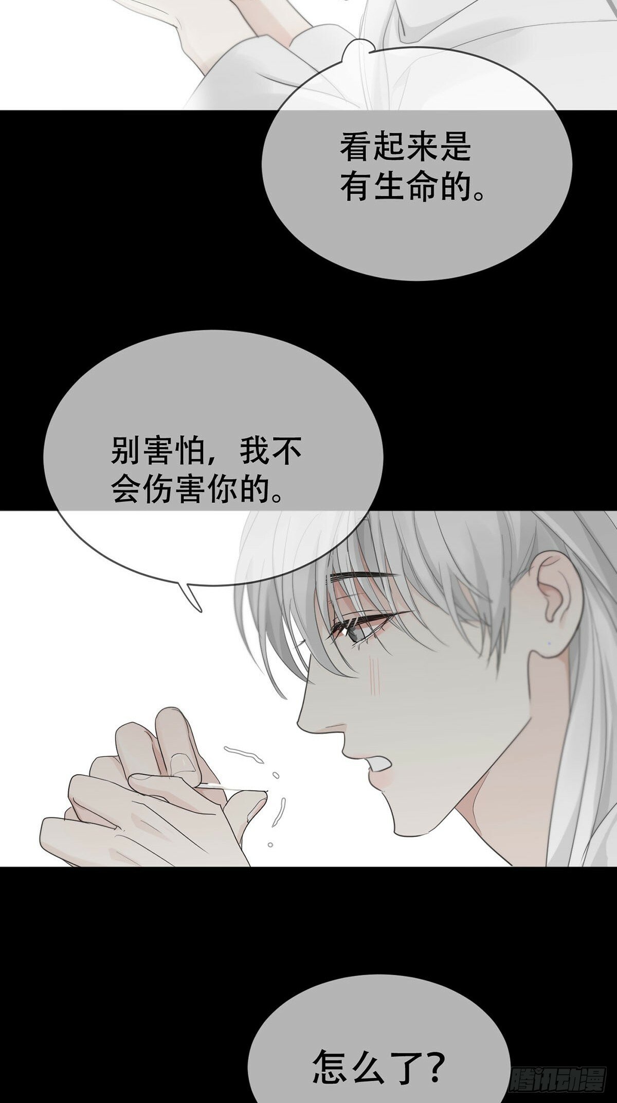 44话上：重生52