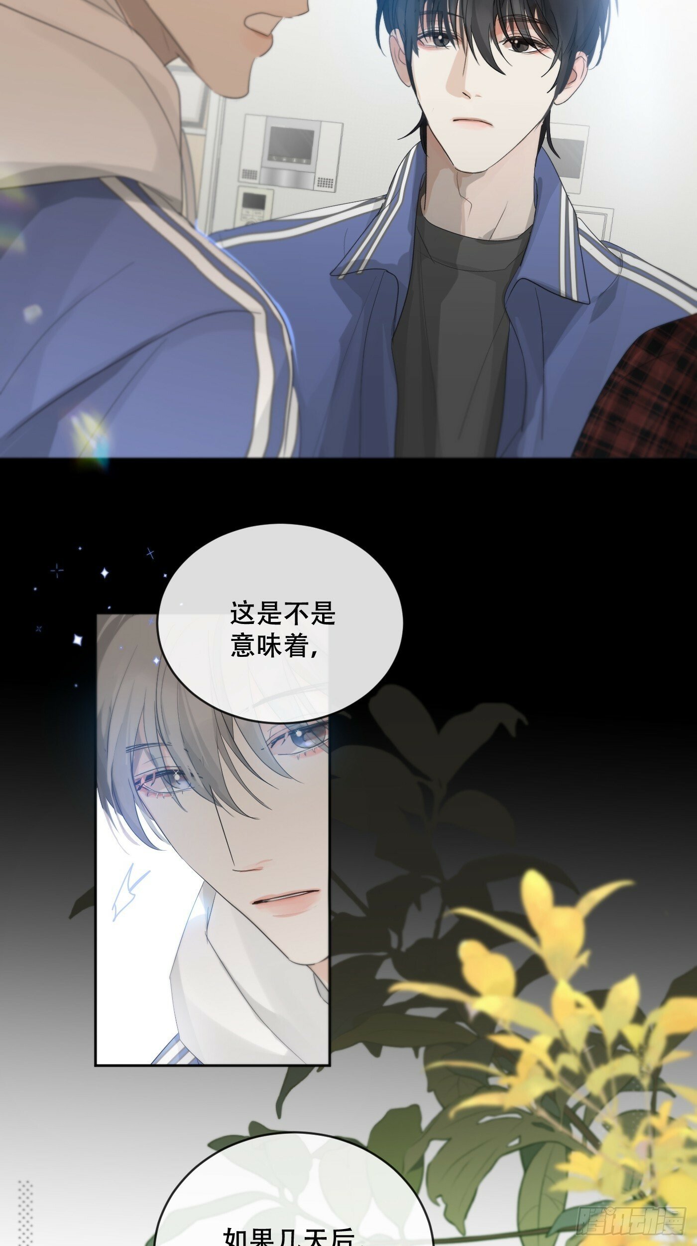 36话.盯11