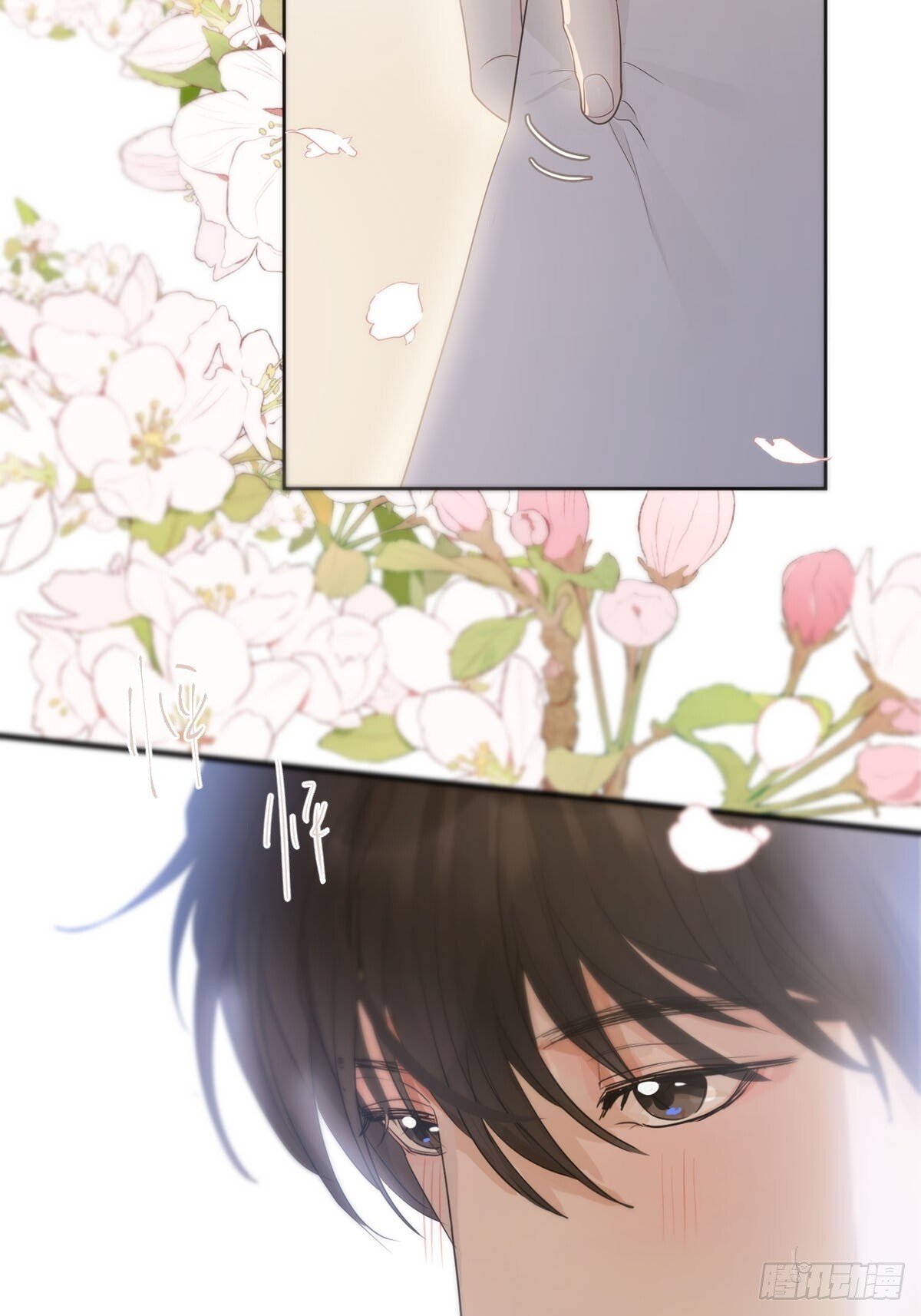 45话：完结篇55