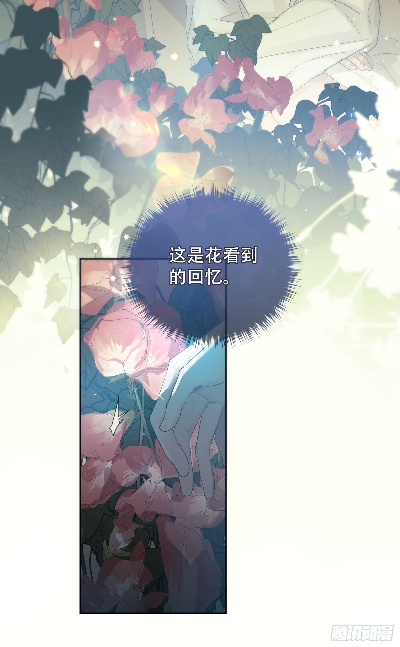 38话.香豌豆花22