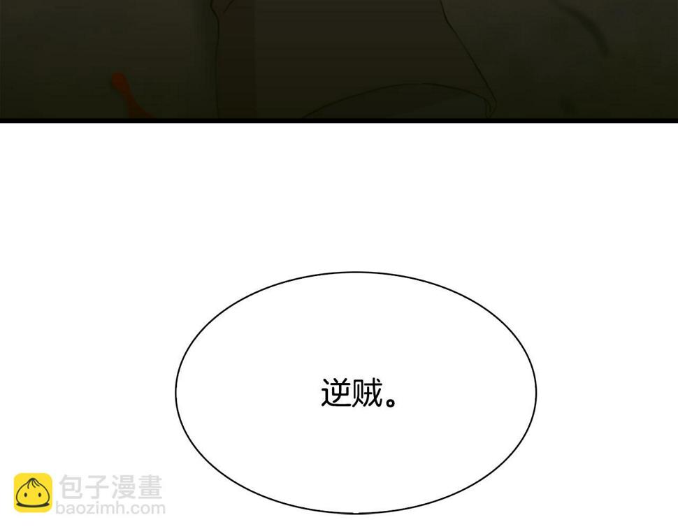 第95话 支援军74