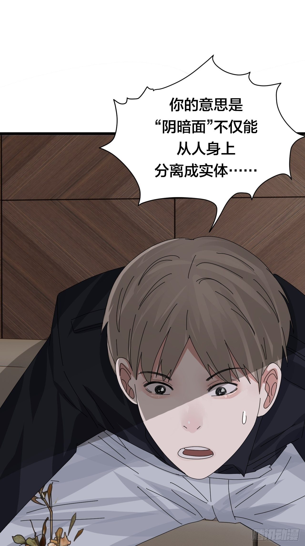 第二十九话 造访老何（二）1