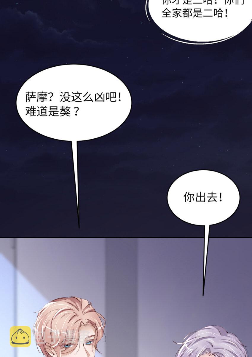 055 大型猫科动物7