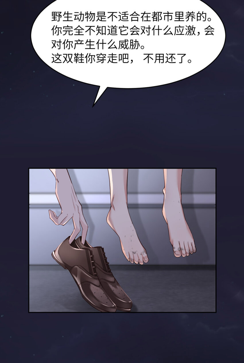 055 大型猫科动物22