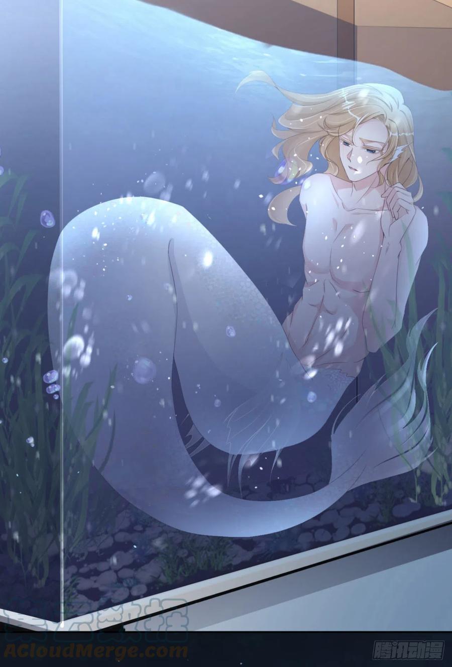 046 命运的安排45