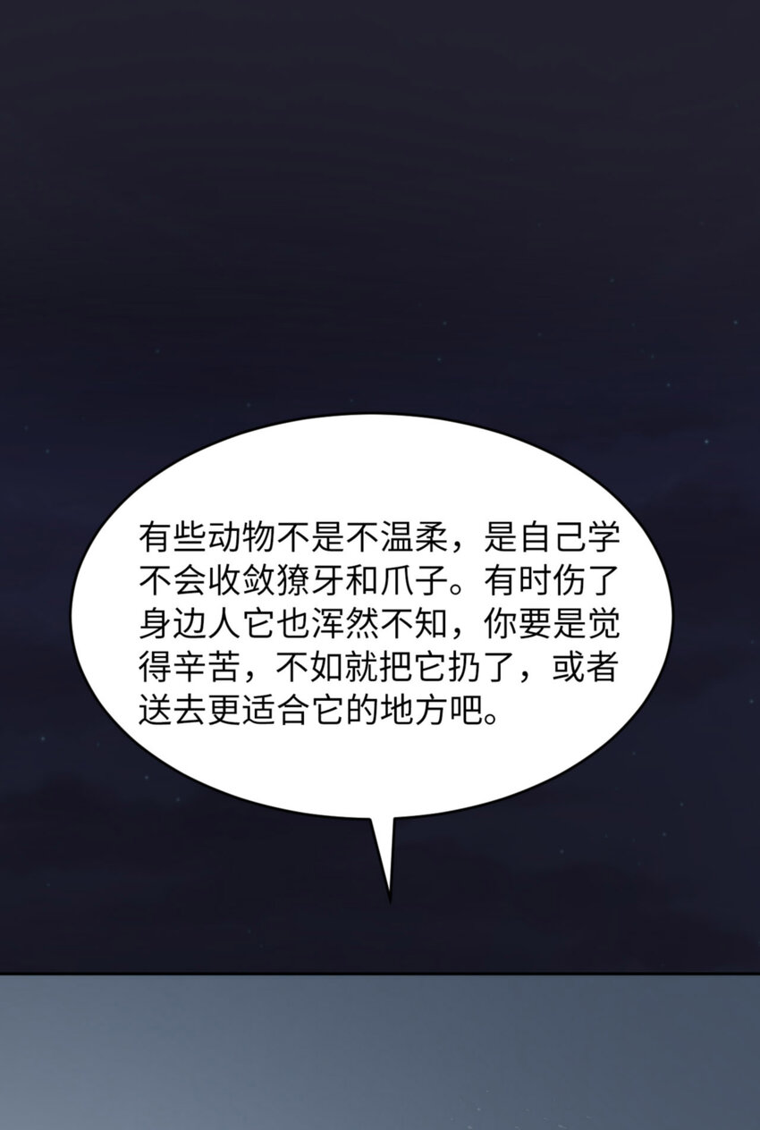 055 大型猫科动物18