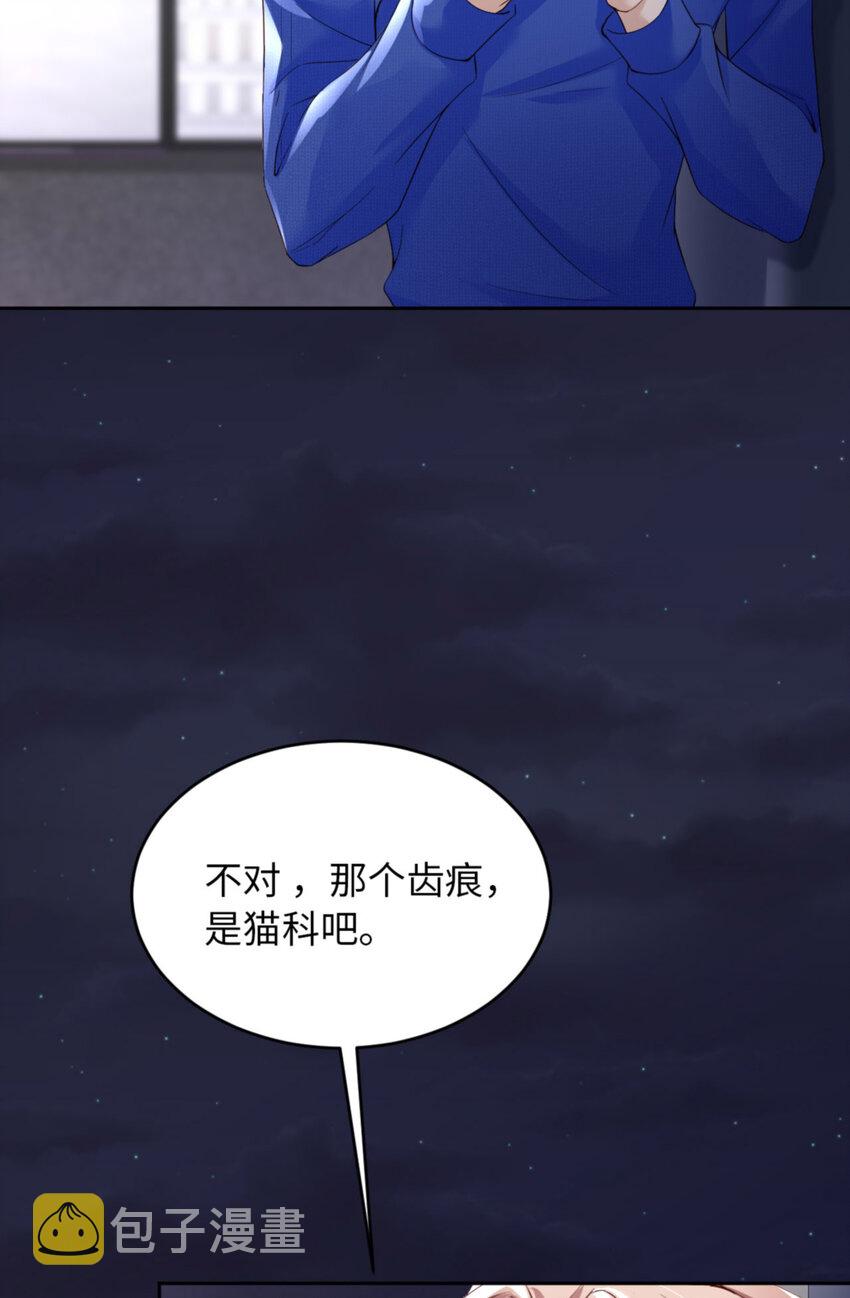 055 大型猫科动物12