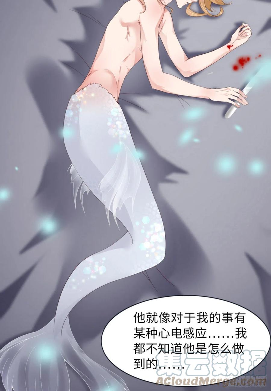 046 命运的安排54