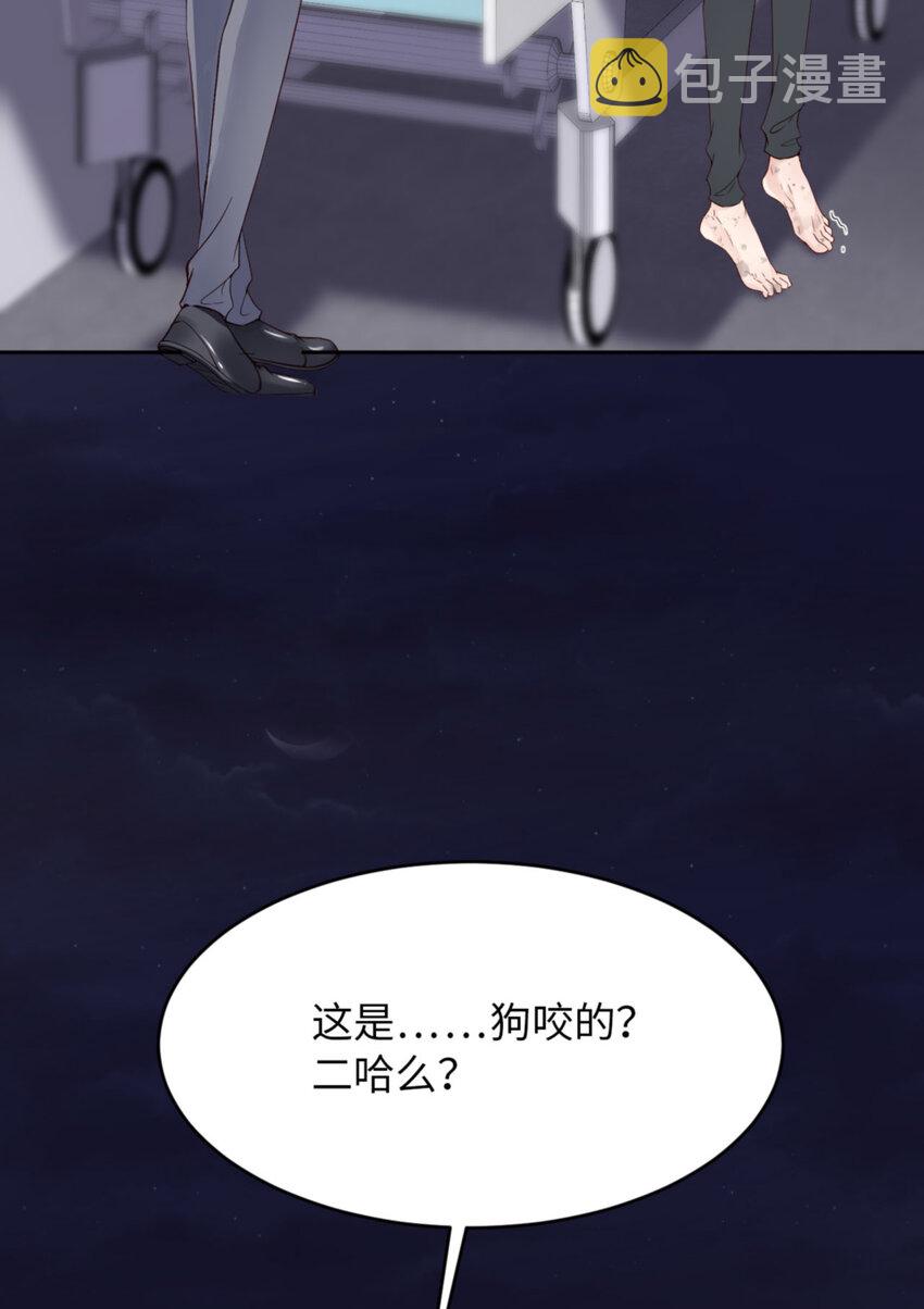 055 大型猫科动物3
