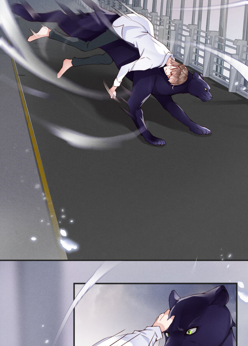 001爱豆被野兽掳走了？26