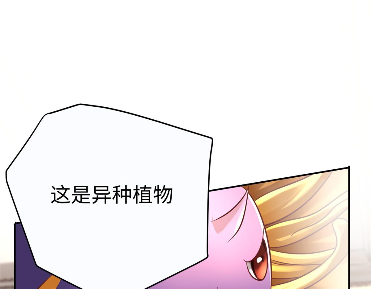 11 雌雄照妖镜28