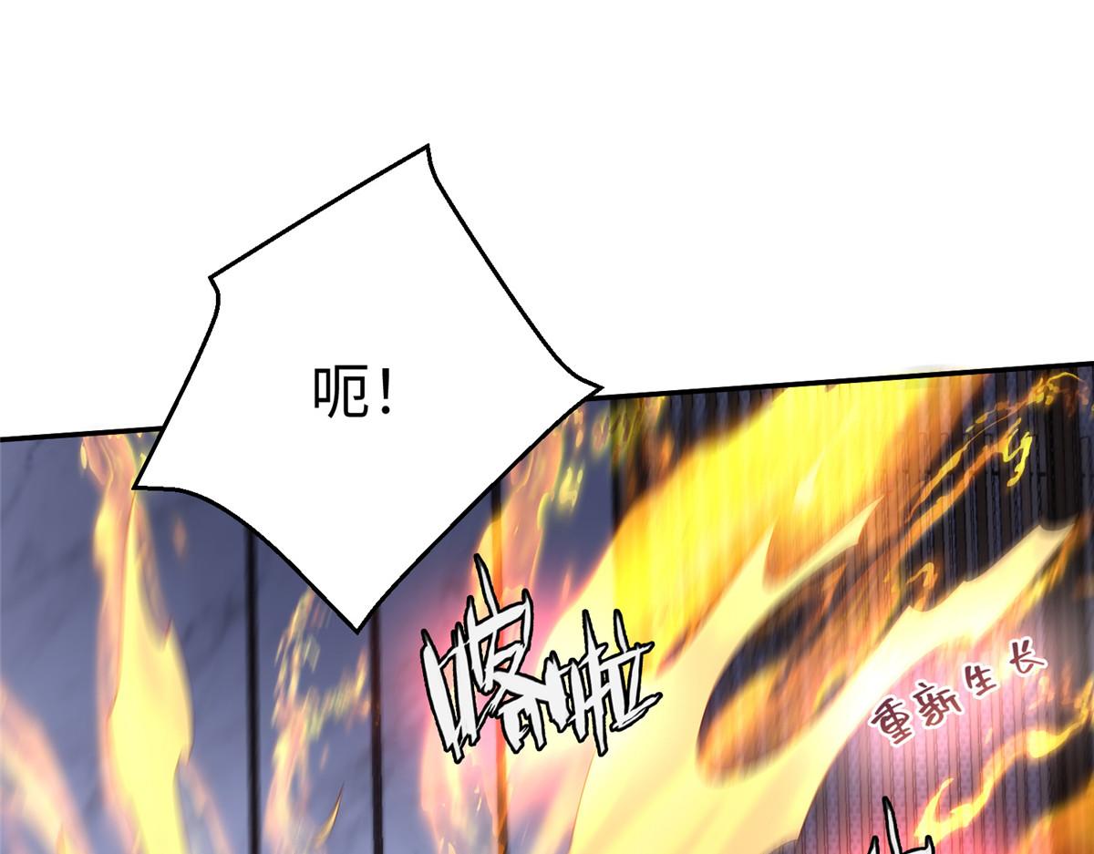 57 凤凰蛋44