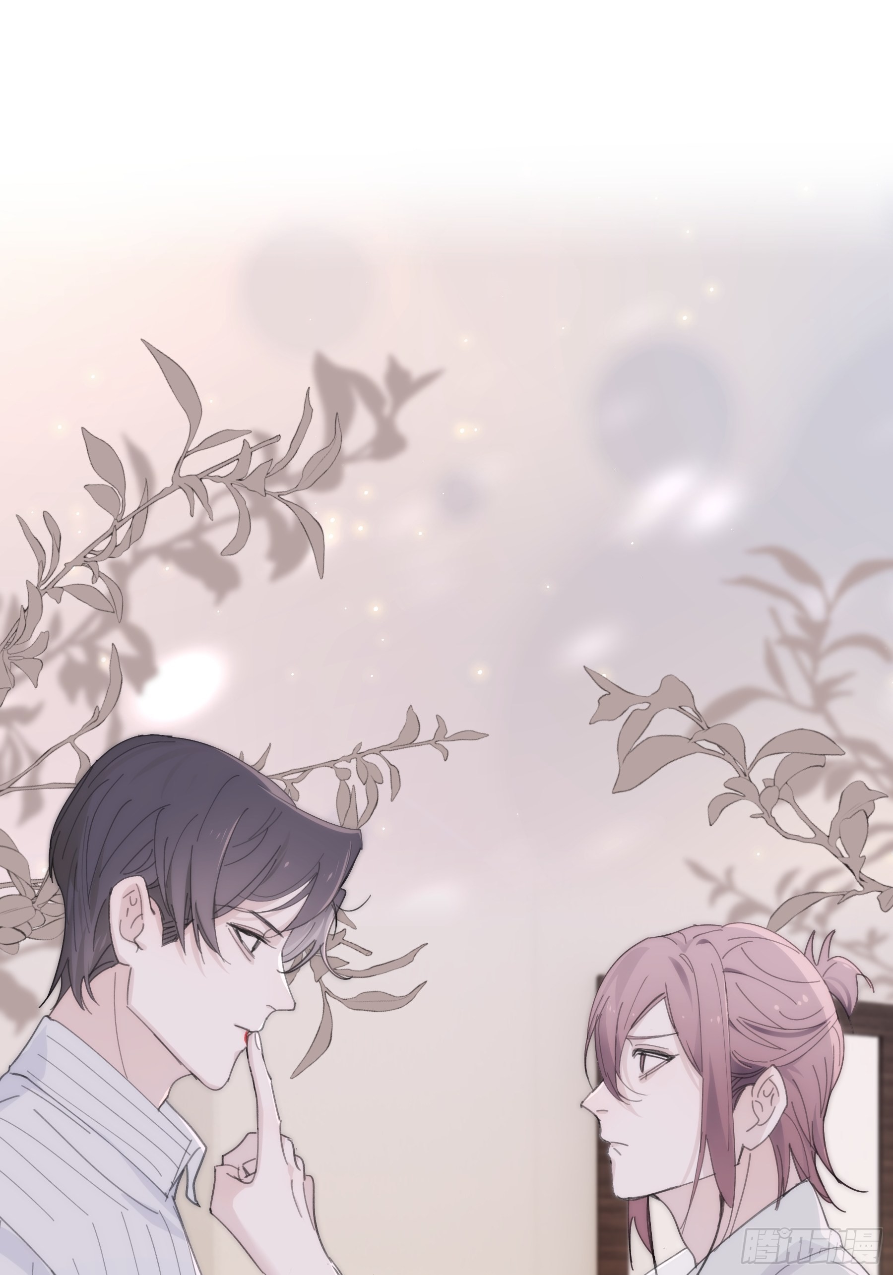 29 带回家0