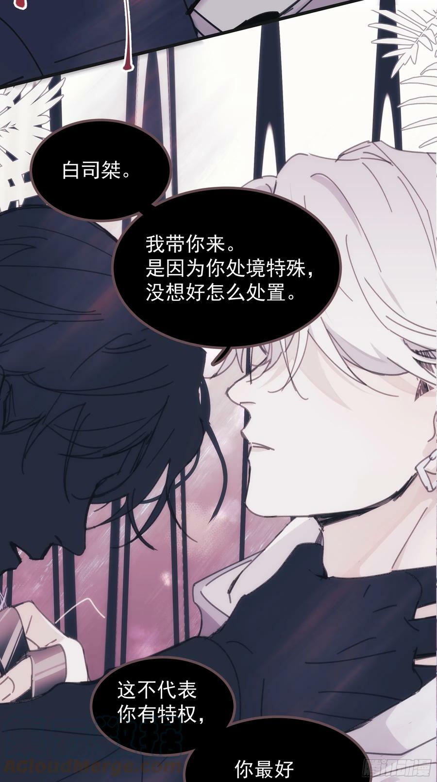 39 白司桀和张正辛26