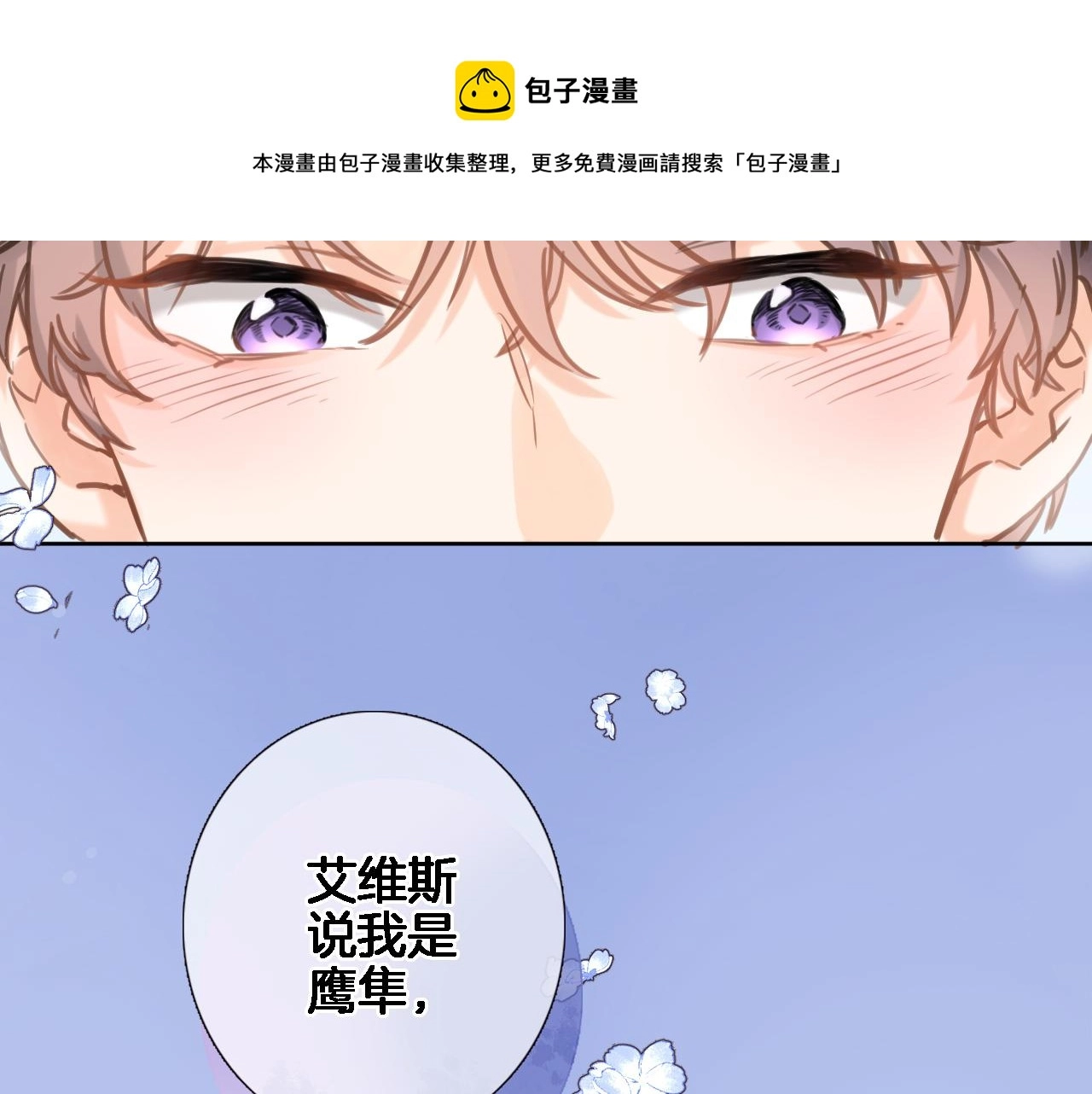 第六十九话 我的小鸟48