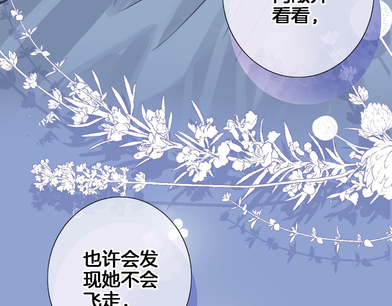 第七十五话 深夜花园2