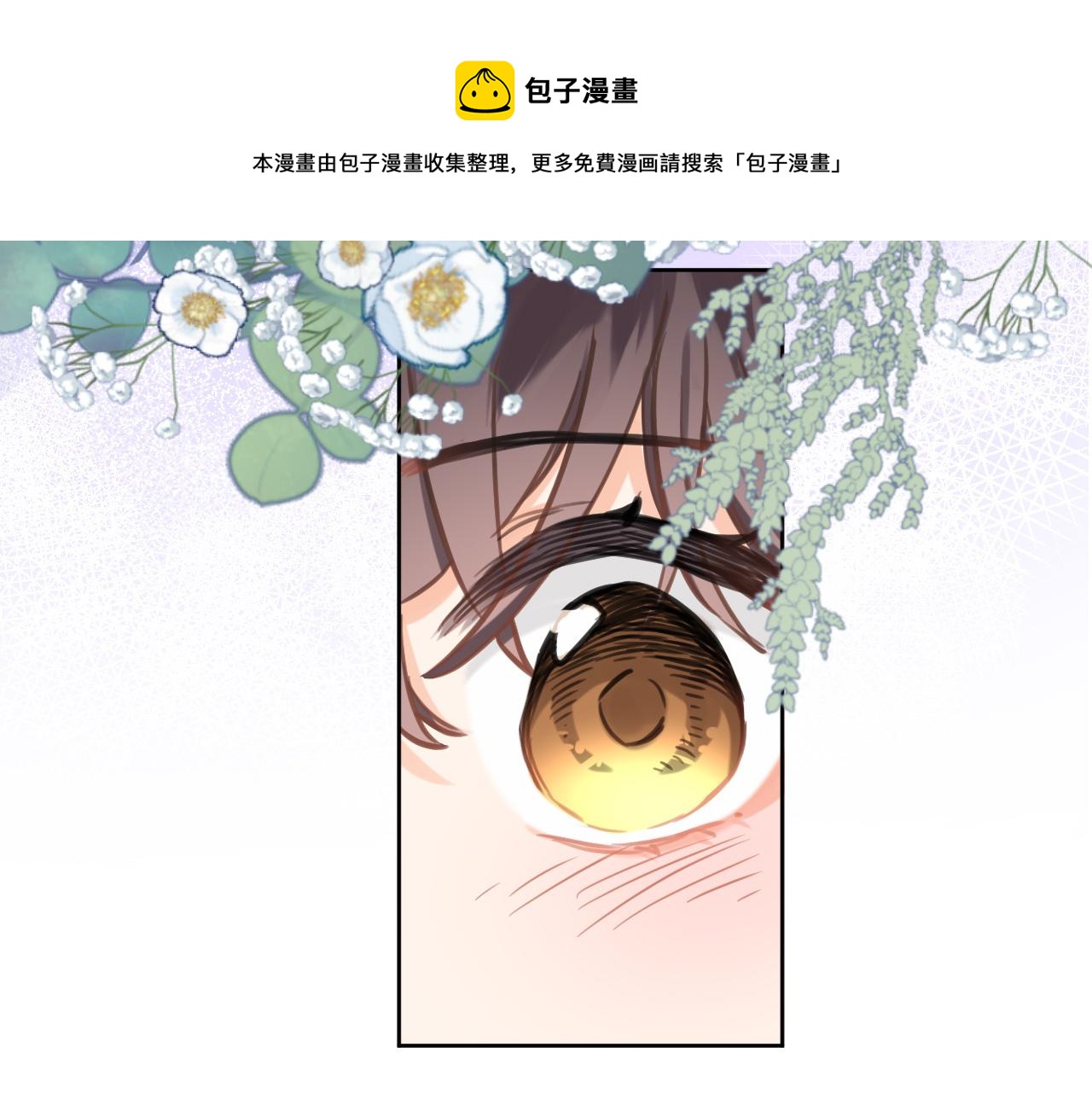 第六十九话 我的小鸟68