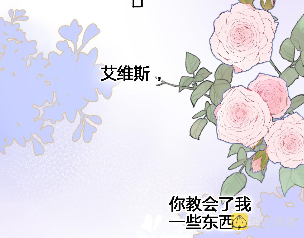 第六十九话 我的小鸟13