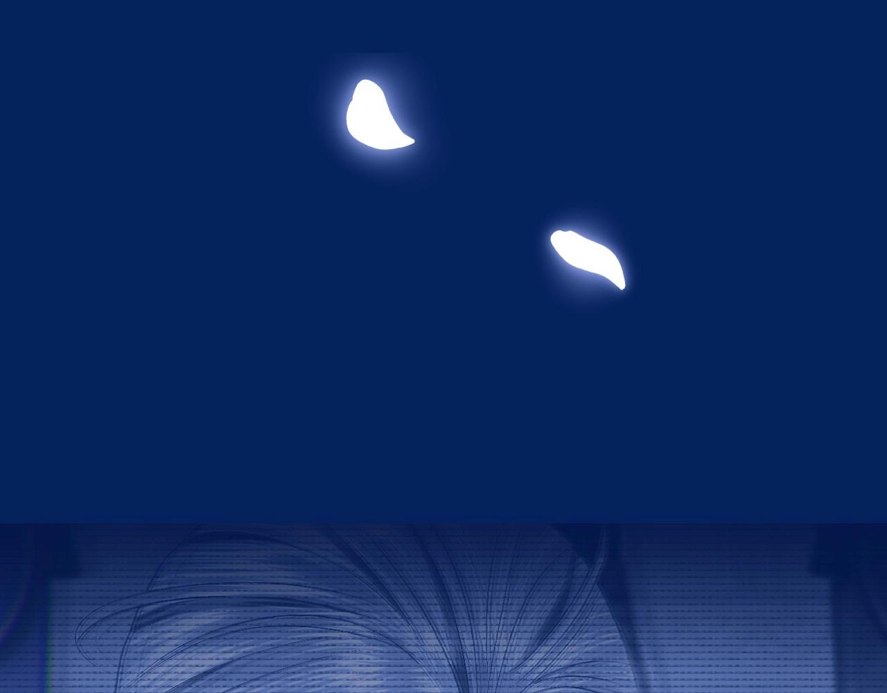 第97话 搞砸的“求婚”计划231