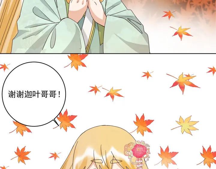 第140回 枫叶4