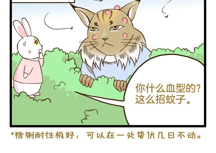 第101话 中二之光17
