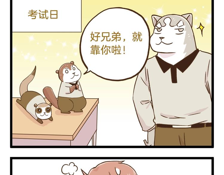第97话 机选的啦~12