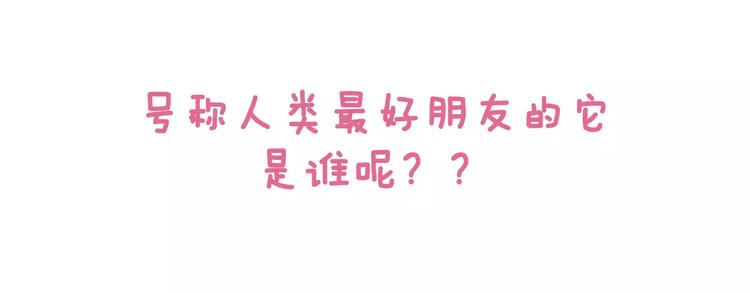 第2话 毛发管理17