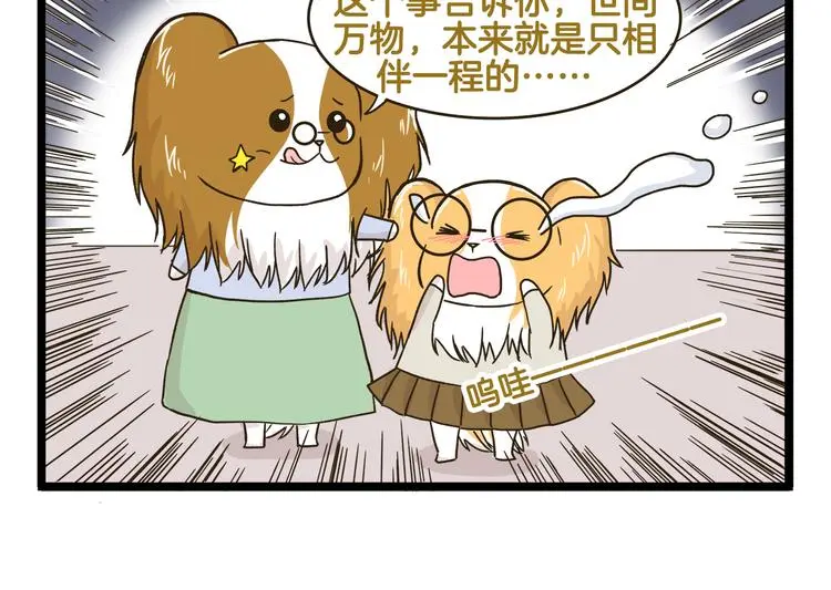 第147话 成长中的离别17