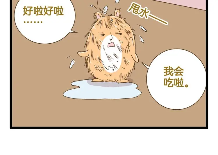 第155话 布丁的腹肌17