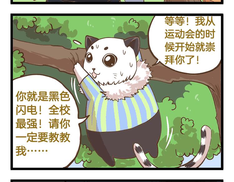 第39话 带我一起飞鸭！15