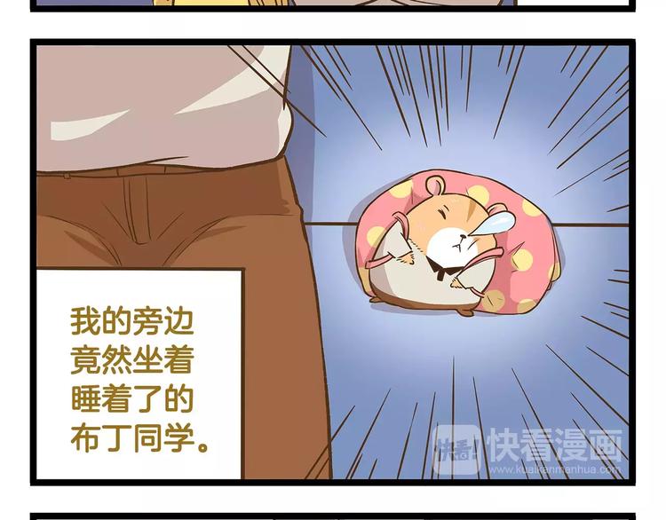 第14话 誓死保卫仓鼠！3