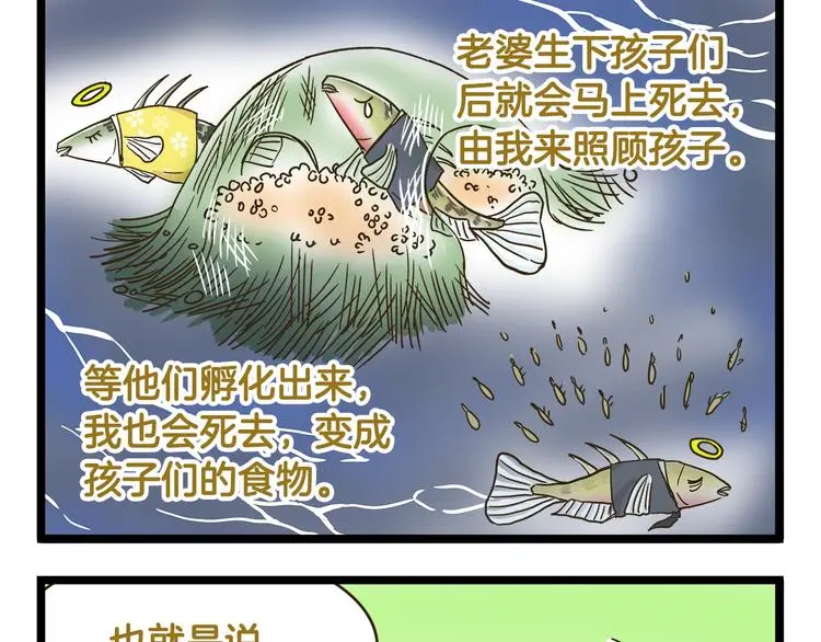第151话 最爱你的人20